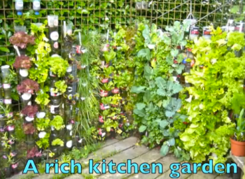 Imponerende, så meget køkkenhave man kan få ud af så lidt plads. Foto: J. Sakskjær