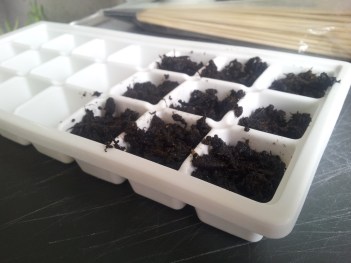 I stedet for at bruge penge på en forspiringsstation, bruger jeg en gammel isterningbakke