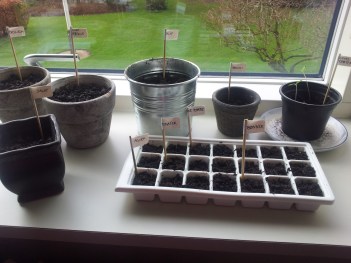 Det færdige forspiringsprodukt